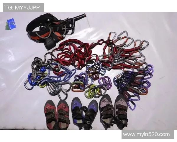 北京攀岩队个人能力表现数据分析与提升策略探讨MBA